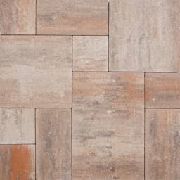 Everton Camelot paving wave klein wildverband 6 kilimanjaro 1