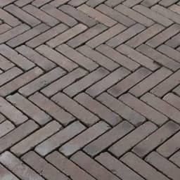 Gebakken WF 20x5x6 cm terra lugano antica 1