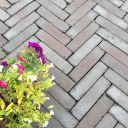 Gebakken WF 20x5x6 cm terra lugano antica 2