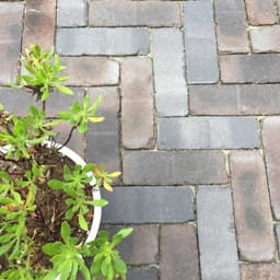 Gebakken DF 20x6,5x6 cm terra ancona antica 2