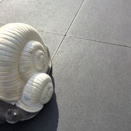 terras & trends Allemagne tegel 60x60x5 cm antraciet 3