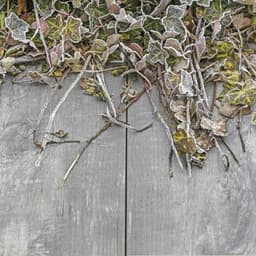 MBI GeoCeramica 80x40x4 cm timber grigio 2