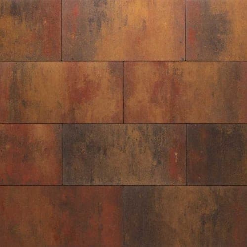 Demiton extra xxS Groot Wildverband  4 cm capiche