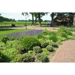 Traptrede Facetto 100x35x15 cm cannobio 7