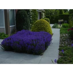 Bloktrede vietnamese hardsteen 100x35x15 cm 3