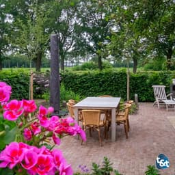 Gebakken DF70 copal onbezand getrommeld (Uitlopend) 2