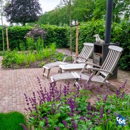 Gebakken DF70 copal onbezand getrommeld (Uitlopend) 3