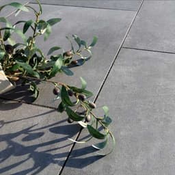 MBI GeoCeramica 60x60x4 cm entree ambiente greige 2