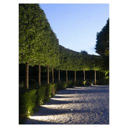 in-lite solitary ace white 7