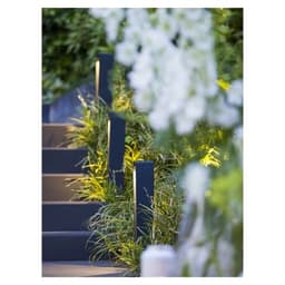 in-lite solitary ace high dark grey 6