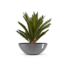 Ecopots Vienna 70 grey 70x70x25,2 cm 2