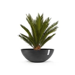Ecopots Vienna 70 dark grey 70x70x25,2 cm 2