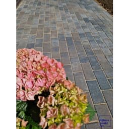 Betonstraatsteen 6 cm oud drachten komo 6