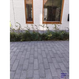 Longstone opritsteen 7 cm antraciet 3