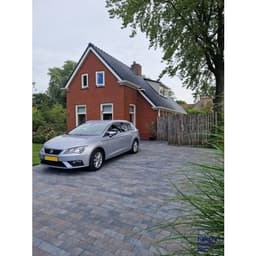 Longstone opritsteen 7 cm oud drachten 3