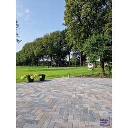 Longstone opritsteen 7 cm oud drachten 5