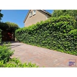 Stonique trommel longstone 31,5x10x5x7 cm oud emmen 7