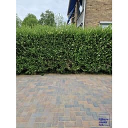 Betonstraatsteen 6 cm oud bussum komo 4