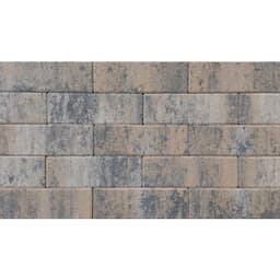 Longstone opritsteen 7 cm musselkalk 2