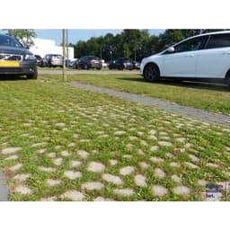 Keigrassteen 45x45x10 cm grijs 2