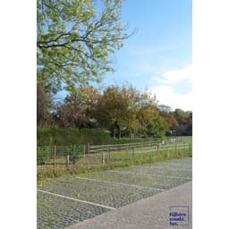 Keigrassteen 45x45x10 cm antraciet 5