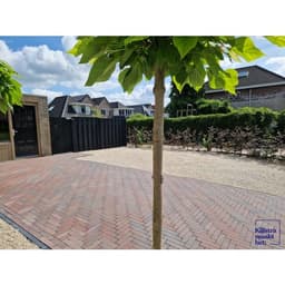 Dikformaat strak XL 28x7x8 cm oud emmen 4