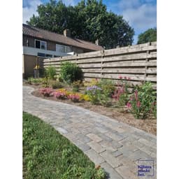 Stonique trommel betonstraatsteen 21x10,5x6 cm musselkalk 4