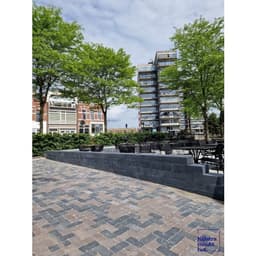 Traptrede linea 60x30x15 cm antraciet ZVK 4