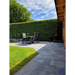 Straksteen 60x30x5 cm oud drachten 2