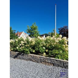 Splitrock XL 15x15x60 cm 2.0 musselkalk 4