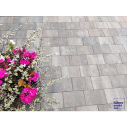 H2O comfort square 20x30x6 cm tricolore 3