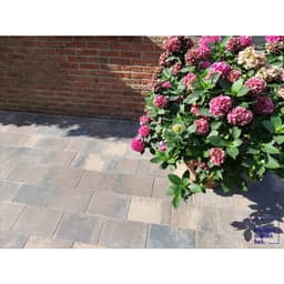 Straksteen 20x30x6 cm chelsea 2