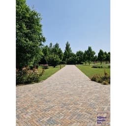 Stonique trommel dikformaat 21x6,8x6 cm musselkalk 4