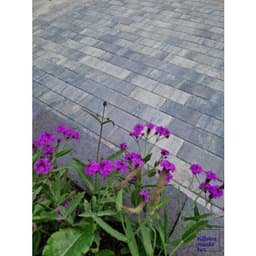 Patio betonstraatsteen 6 cm ocean TOP mini facet komo 2