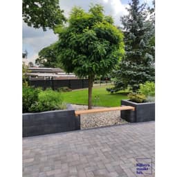 Linea 15x15x60 cm antraciet 4