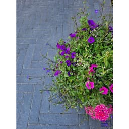 Dikformaat strak XL 28x7x8 cm antraciet 5