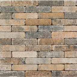 Stonique trommel waalformaat 20x5x7 cm musselkalk 1