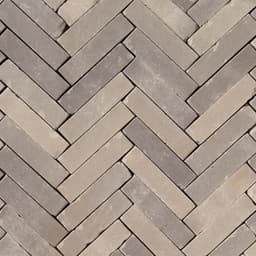 Gebakken UWF60 lotis onbezand getrommeld 2