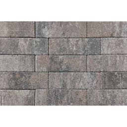 Longstone opritsteen 7 cm oud drachten 1