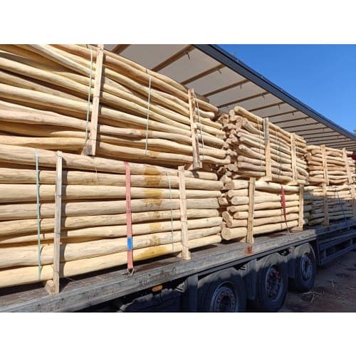 Robinia paal geschild 250 cm ø 8/10 gepunt