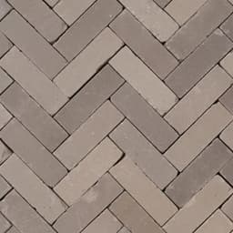 Gebakken UDF60 lotis onbezand getrommeld 2