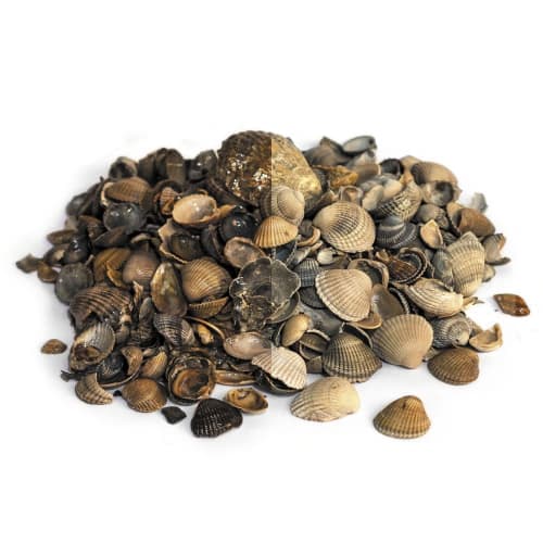 Schelpen 8-16 mm (big bag 600 kg)