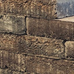 Pilestone Line 2 zijden ruw 40x15x10 cm walnut 2