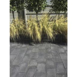 Tumbelton extra coal 15x15x6 cm 9