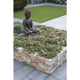 Combiwall splitton uno 30x15x12 cm kilimanjaro 3