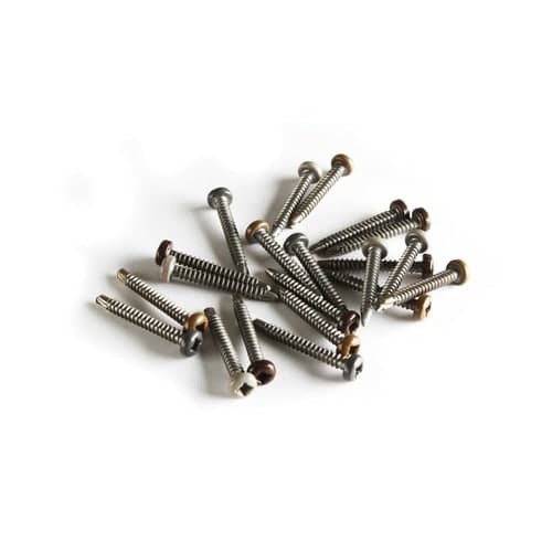 WEO rvs schroef 4,2x38 mm (100 stuks) + bit ipe