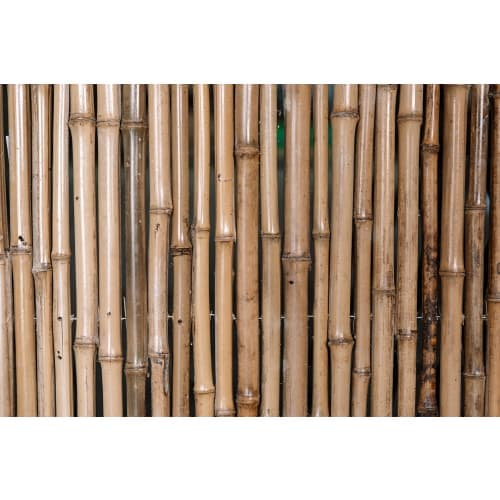 Bamboescherm naturel extra 180x180 cm