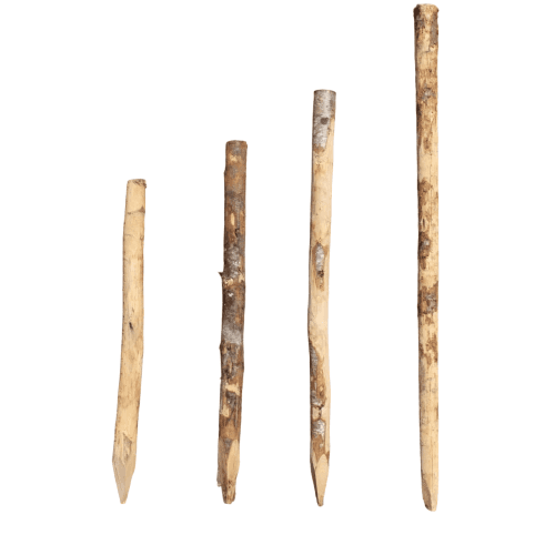 Kastanje paal 300 cm ø 14/16 gepunt