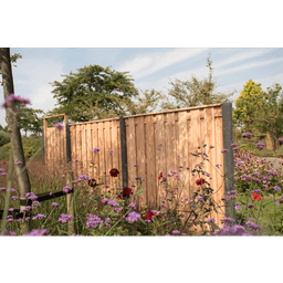 Douglas geschaafd plankenscherm 16 mm 180x180 cm onbehandeld (19 pl) 3