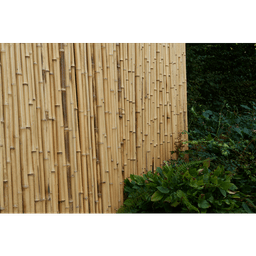 Bamboescherm op rol 180x180 cm gelakt 3